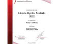 Selena SA liderem Rynku Stolarki Budowlanej 2012